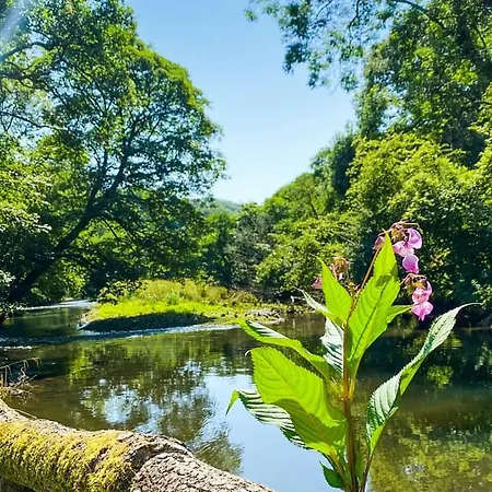 Notter Bridge Holiday park *