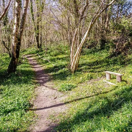Notter Bridge Holiday park *